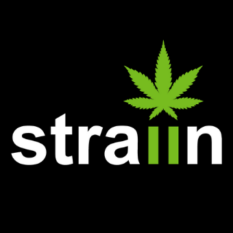 Straiin 3637